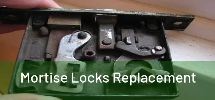  Mortise Locks Replacement 